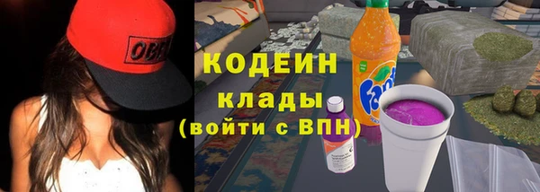 метадон Гусь-Хрустальный