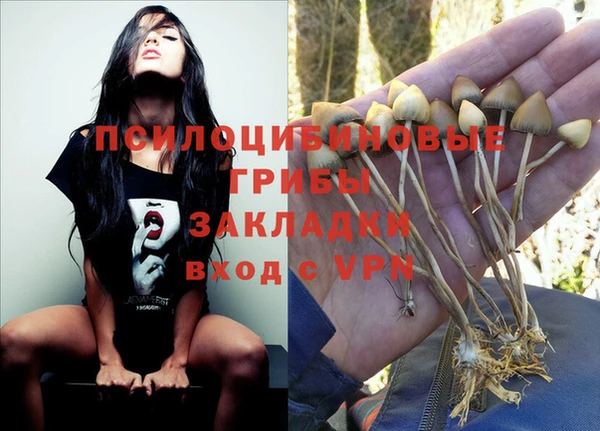 кокаин перу Гусев