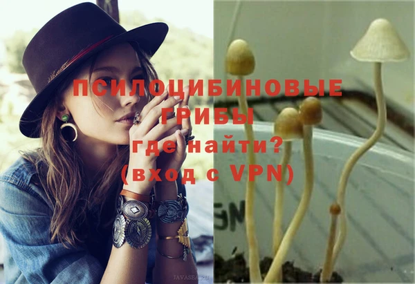 метадон Гусь-Хрустальный
