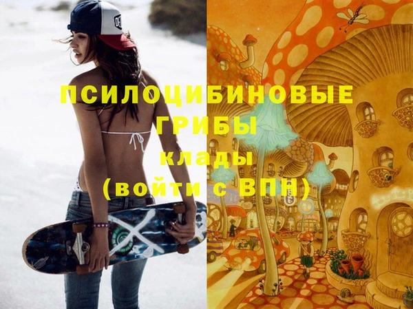 2c-b Гусиноозёрск