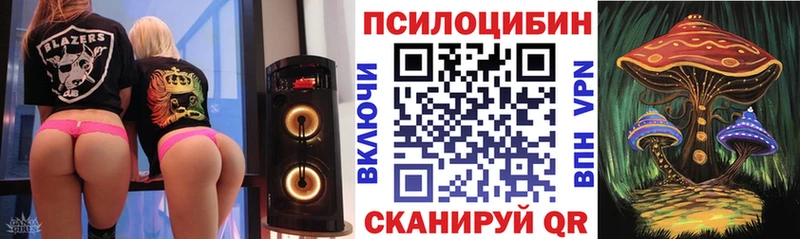 Купить где  Тайга  Псилоцибиновые грибы мицелий 