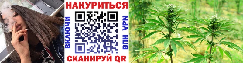 Марихуана семена  Купить  Тайга 